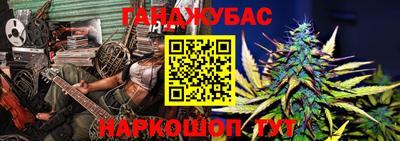 гашик Будённовск