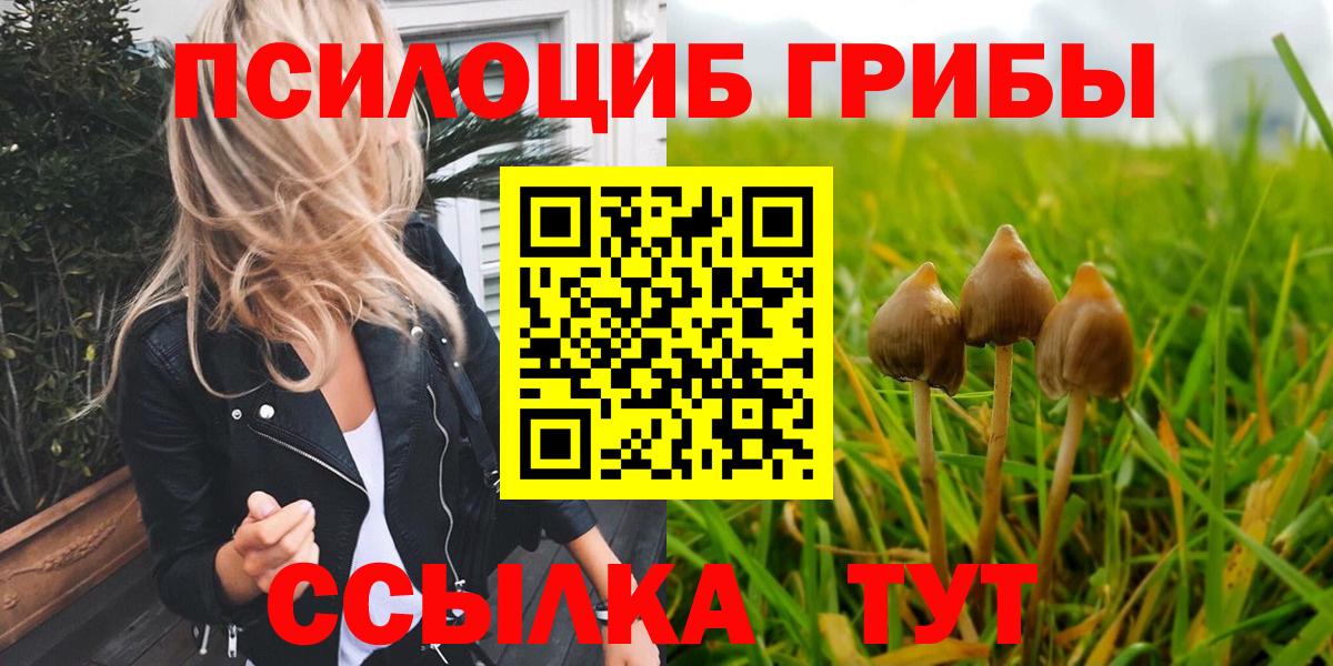 Псилоцибиновые грибы Psilocybine cubensis  Галлюциногенные грибы Psilocybe  Сургут  Вход с VPN 
