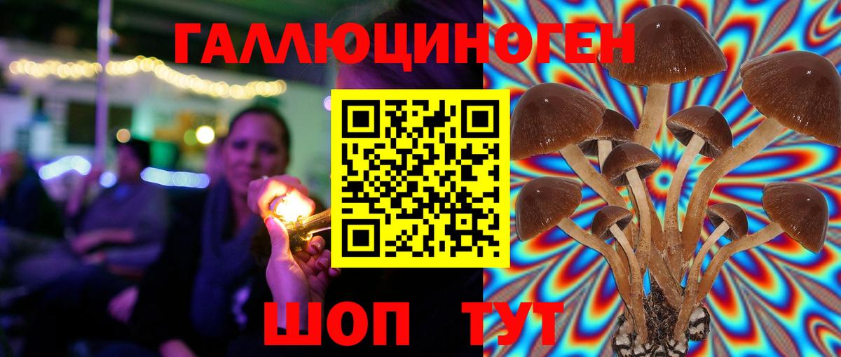 Псилоцибиновые грибы мухоморы Сургут